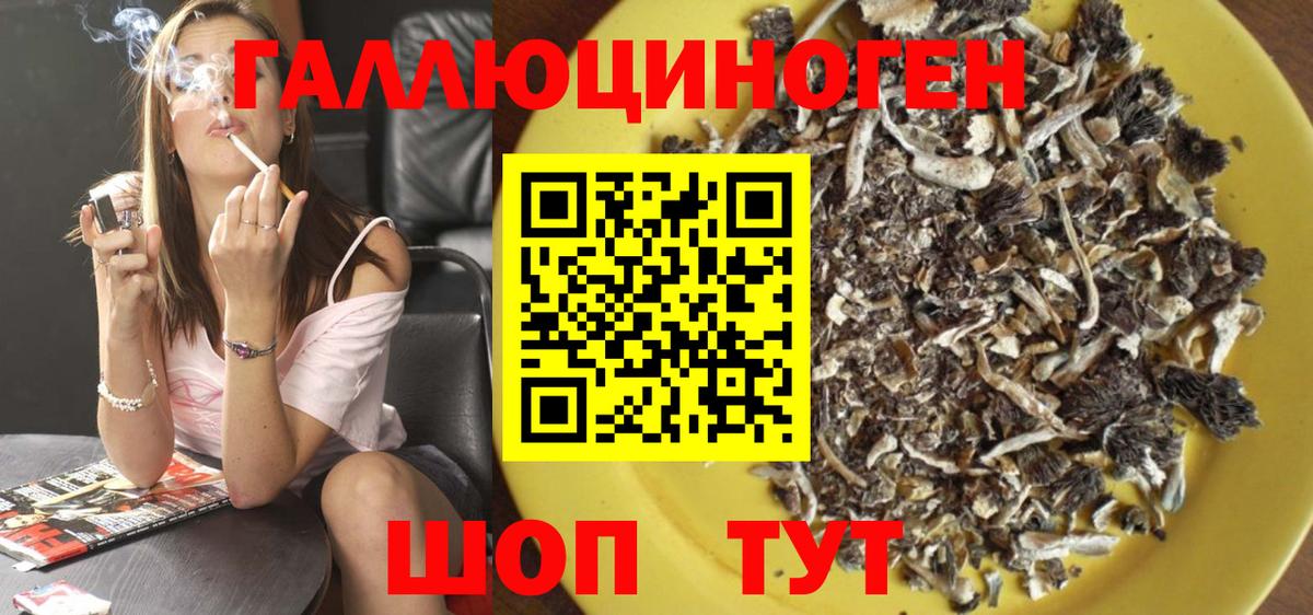 Петропавловск-Камчатский  Галлюциногенные грибы Cubensis  Вход с VPN  Галлюциногенные грибы Cubensis 